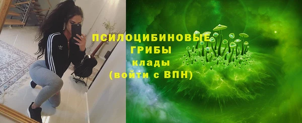mdpv Всеволожск
