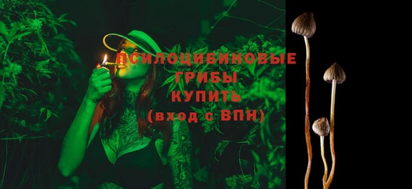 молекула духа Алексин