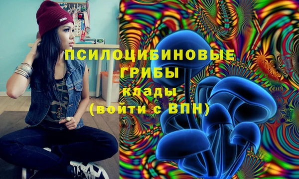молекула духа Алексин