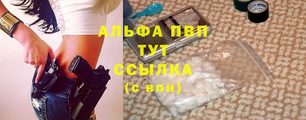хмурый Ветлуга