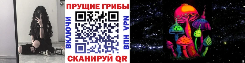Галлюциногенные грибы Psilocybine cubensis  Ипатово 