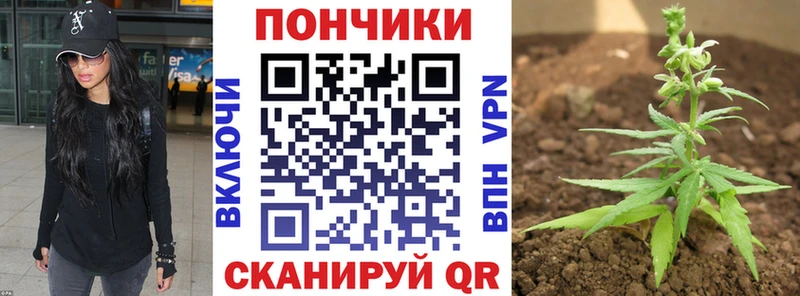 Бошки марихуана индика  Ипатово 